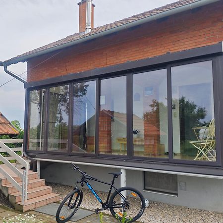 Kuca Za Odmor Bella Villa Sotin Bagian luar foto