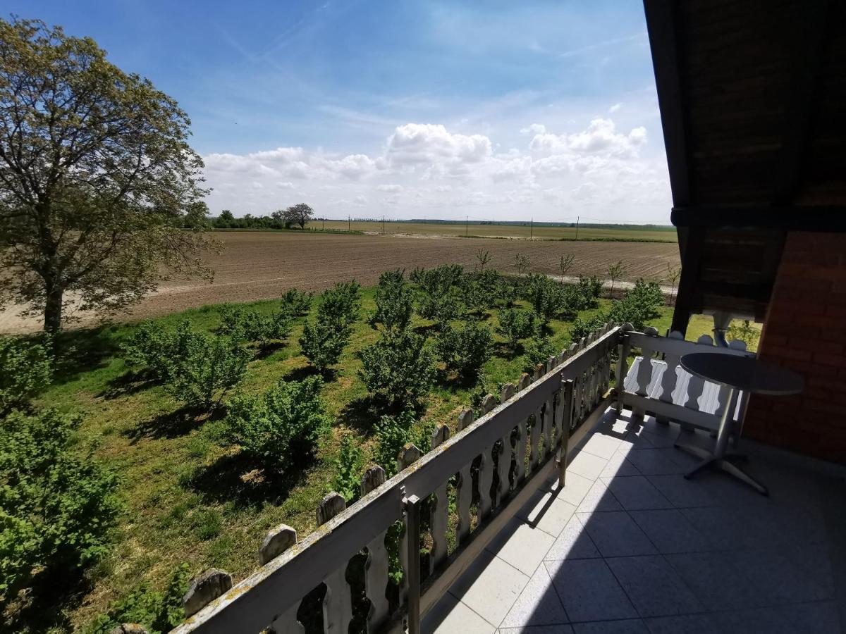 Kuca Za Odmor Bella Villa Sotin Bagian luar foto